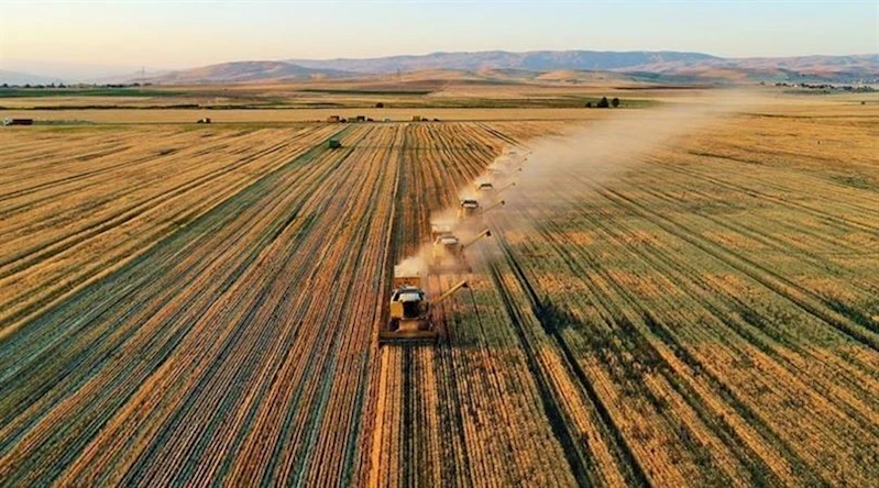 TARIM VE ORMAN BAKANLIĞI’NDAN “33 SORUDA PLANLI ÜRETİM” REHBERİ