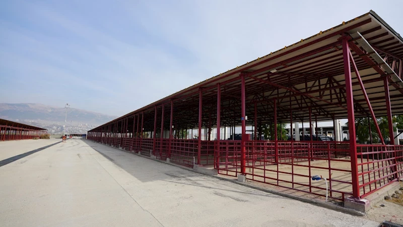 Canlı Hayvan Borsası’nda Padok Kiralama İşlemleri 27 Mayıs’ta Başlayacak