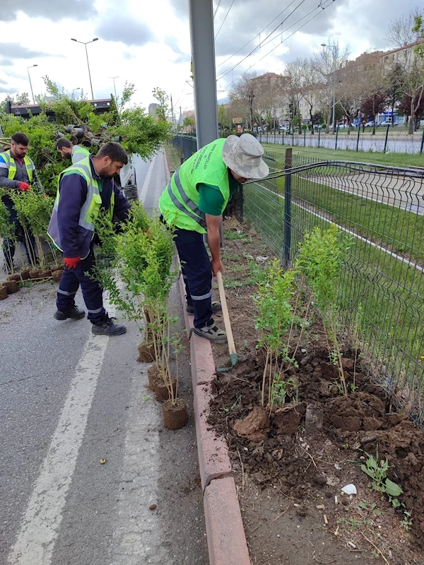 Büyükşehir’den “Doğa Dostu” Hizmetler