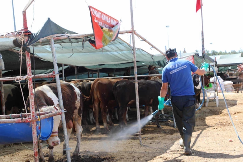 Büyükşehir kurban satış noktalarını ilaçlıyor